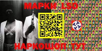 гидра Будённовск