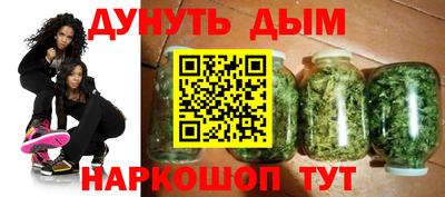 гидра Будённовск