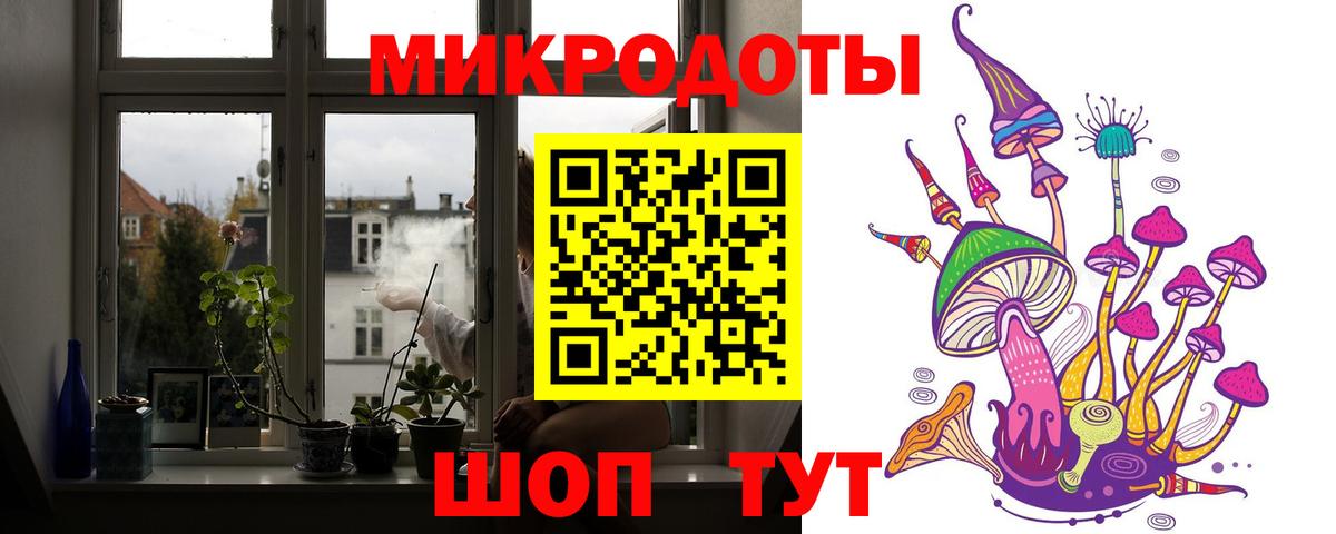 Галлюциногенные грибы прущие грибы Тутаев